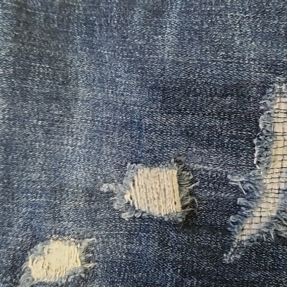 American eagle - Picture 4 of 4